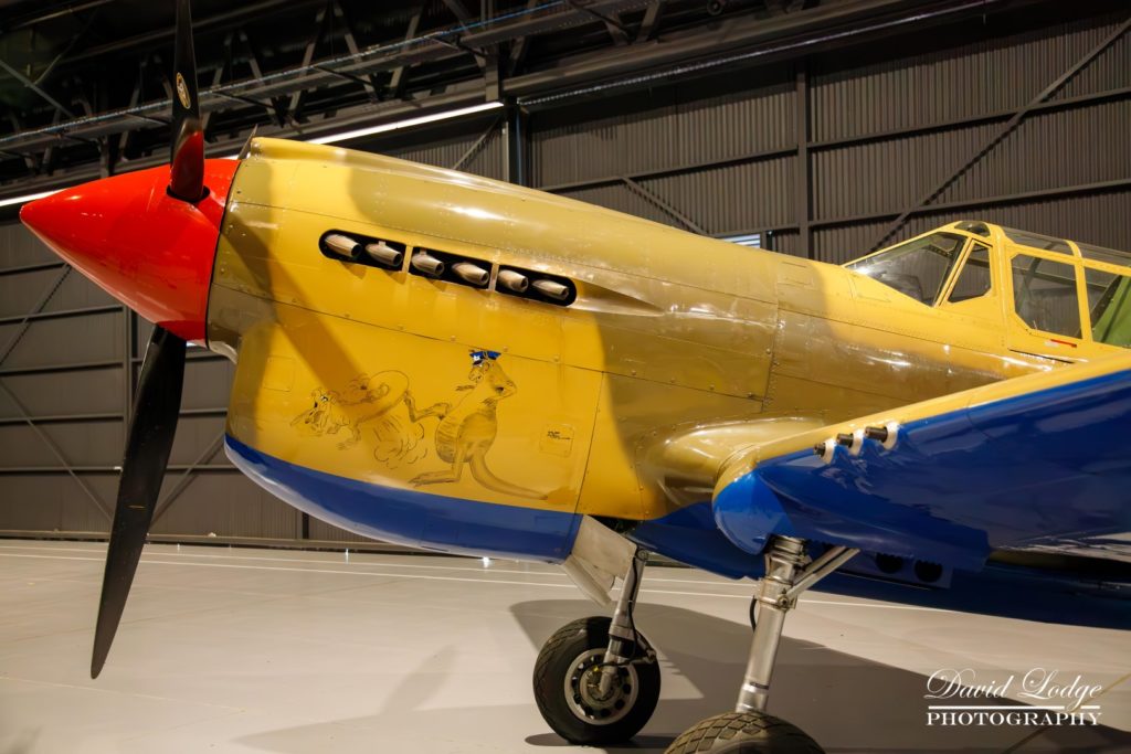 IMG_7009-Enhanced-NR_HiRes-2 (Large)