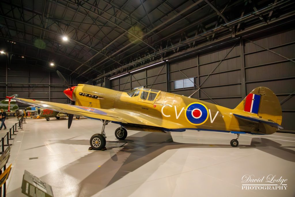 IMG_7010-Enhanced-NR_HiRes-2 (Large)