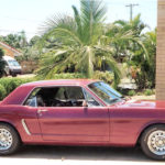Doug Linda's 1965 Mustang Coupe