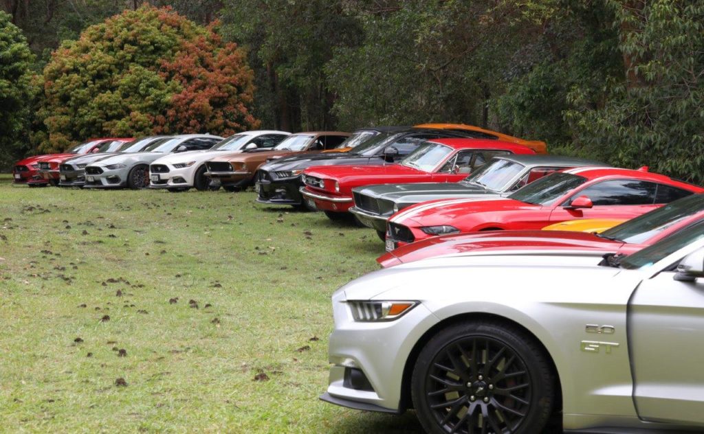 021A7046 Mustang Allsorts