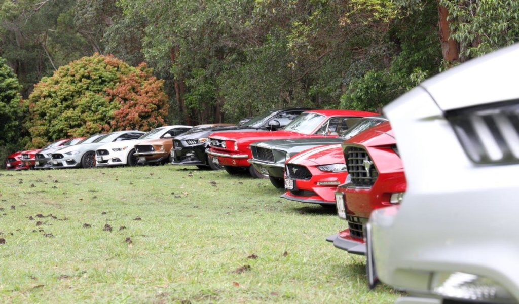 021A7066 Mustang Allsorts