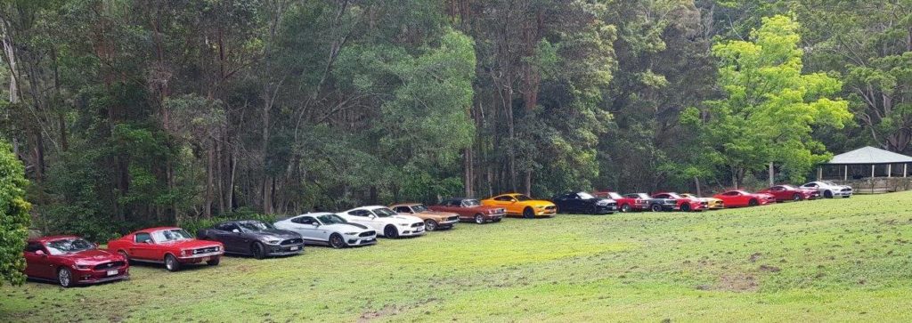 20211107_133710 Mustangs as far as the eye can see