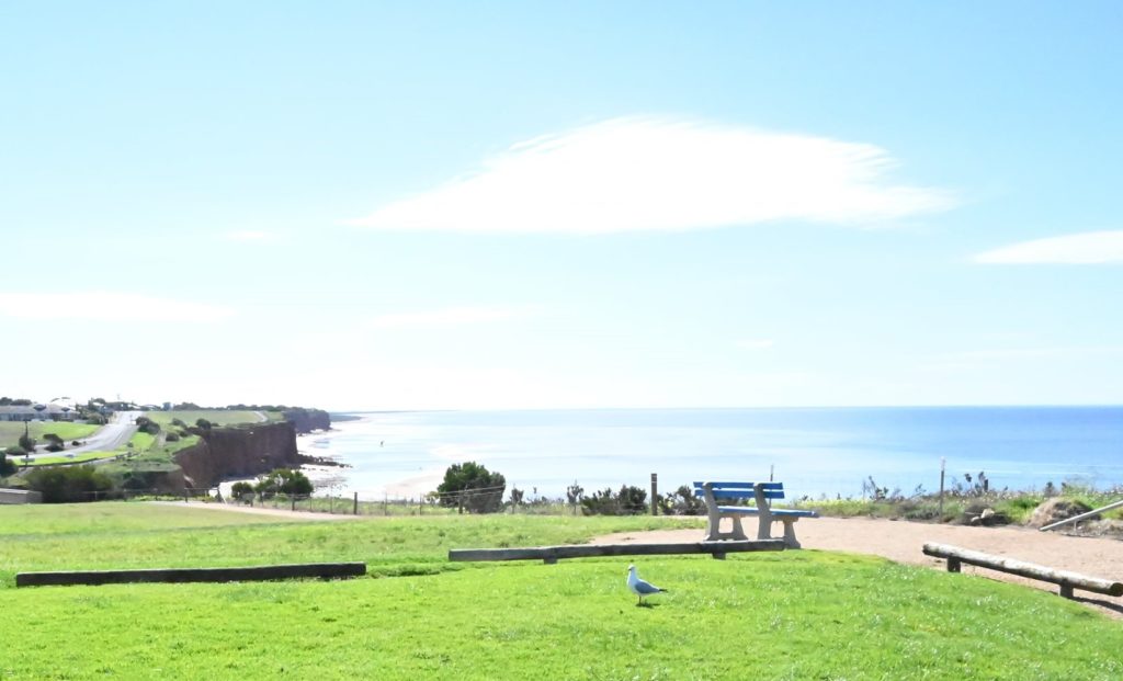 237848080_10216177422227554_6475915417584846063_n