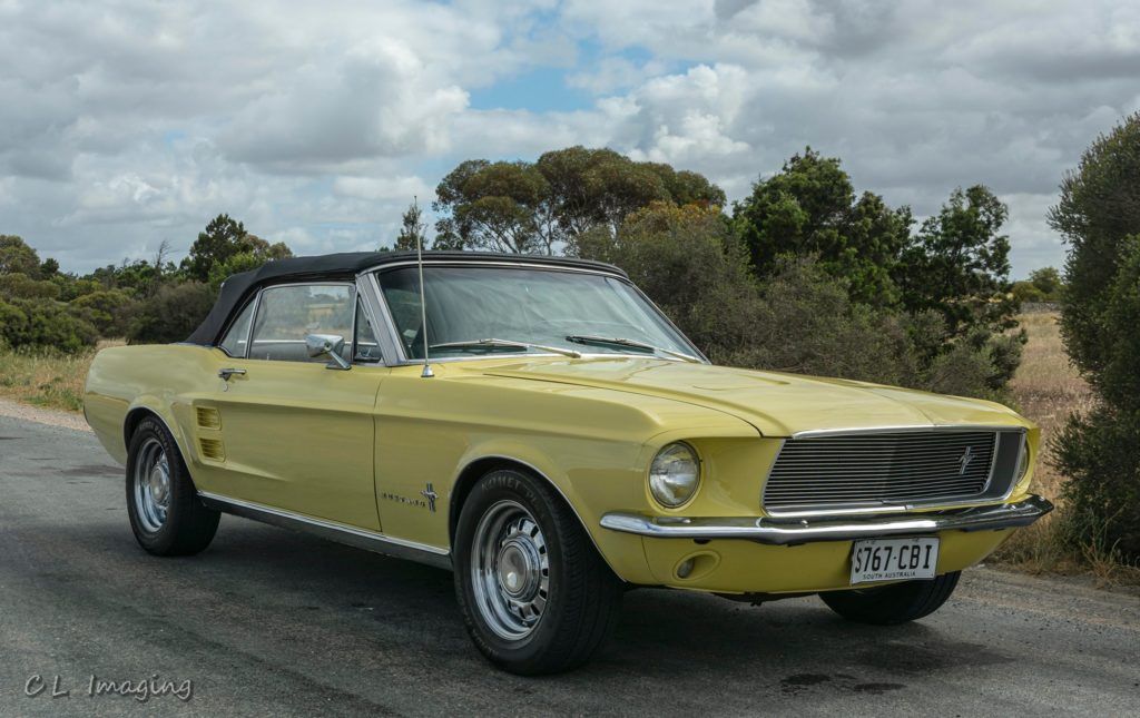 241360258_2110928785729307_5557768671340736462_n