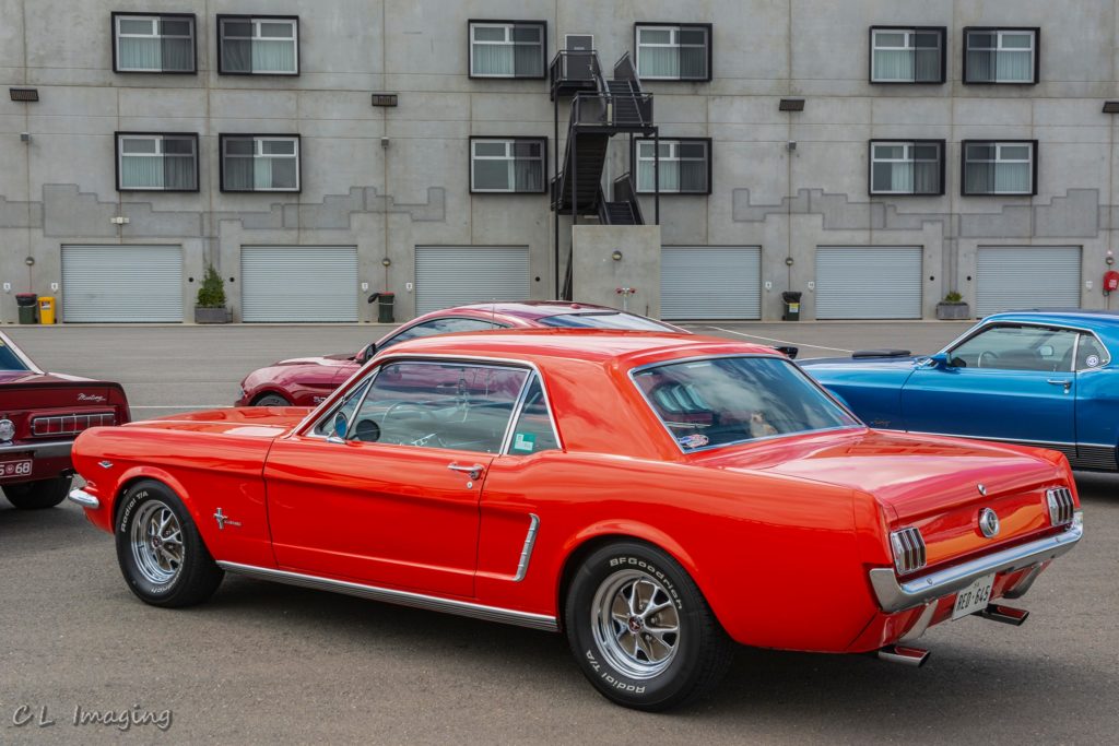 241407373_2110928922395960_6551472369643219661_n