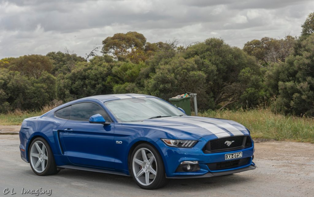 241479031_2110926185729567_5137342963279342777_n