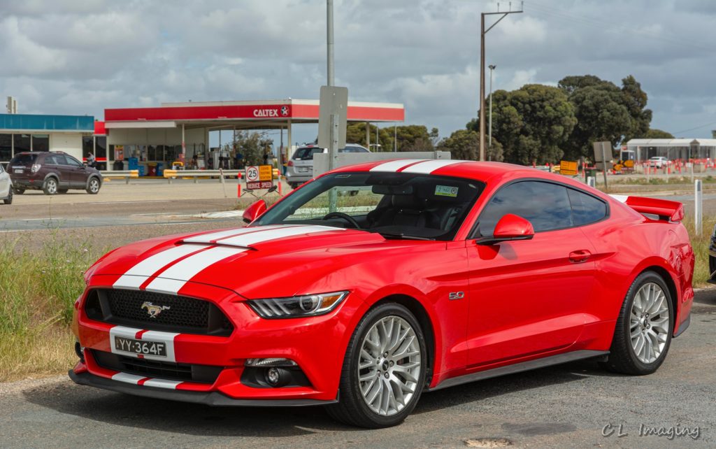 241538660_2110926922396160_7806576400609404307_n