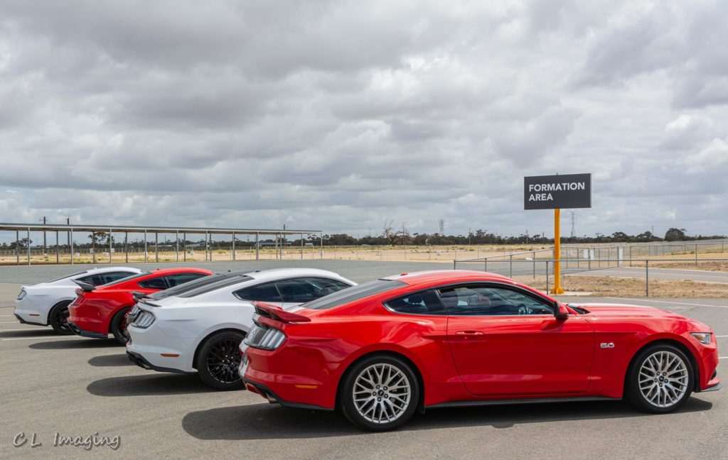 241571439_2110928059062713_6925452733553933060_n