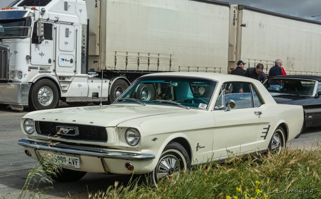 242611317_2110927092396143_4935010920608198165_n