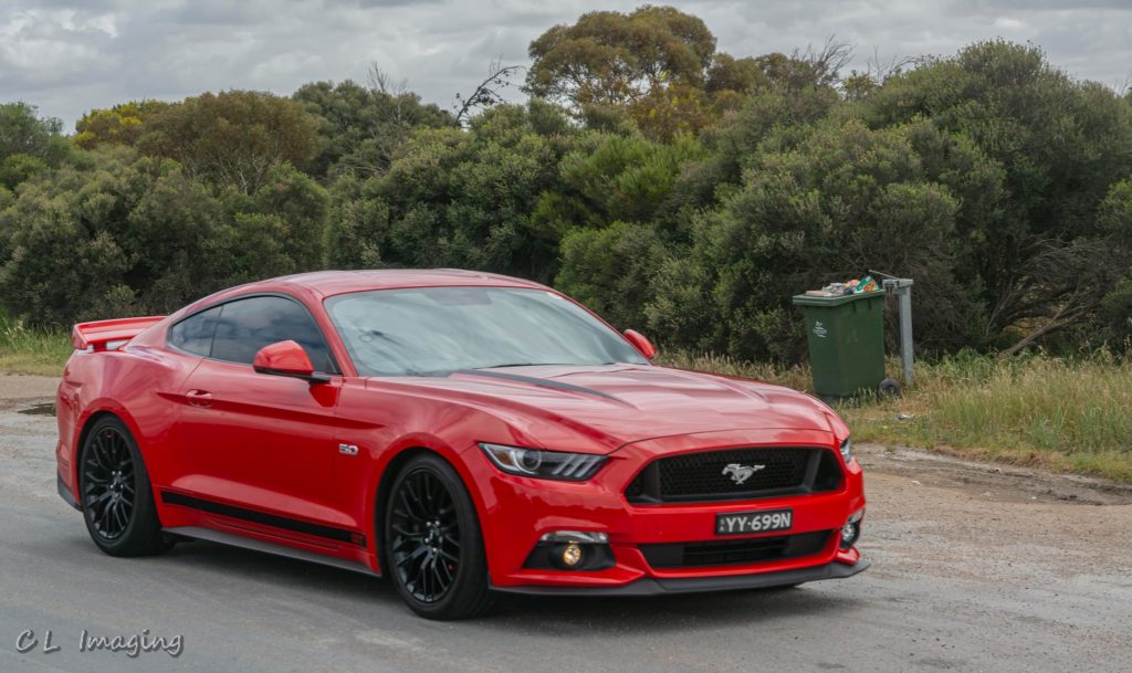 245920454_2110926552396197_7074822376194112769_n