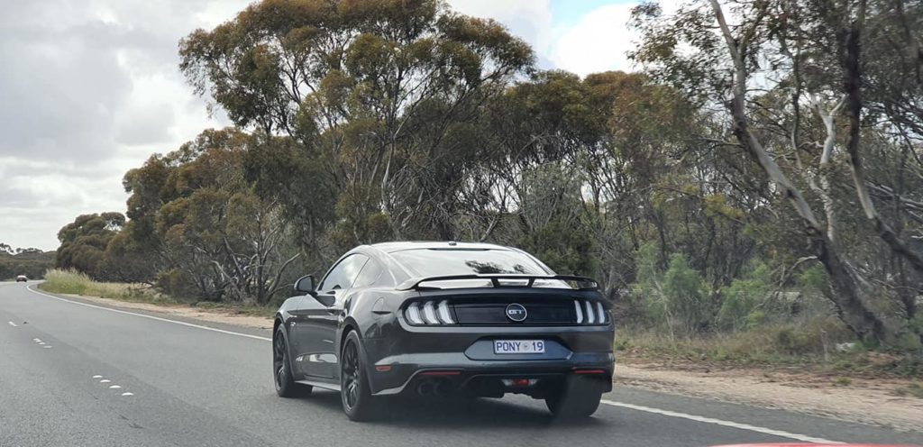 246659004_10227037915122887_6710582492027227125_n