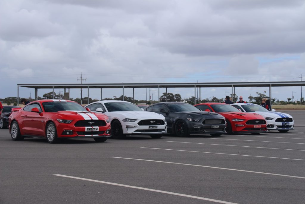 248915399_415456080152378_2984356894531773060_n