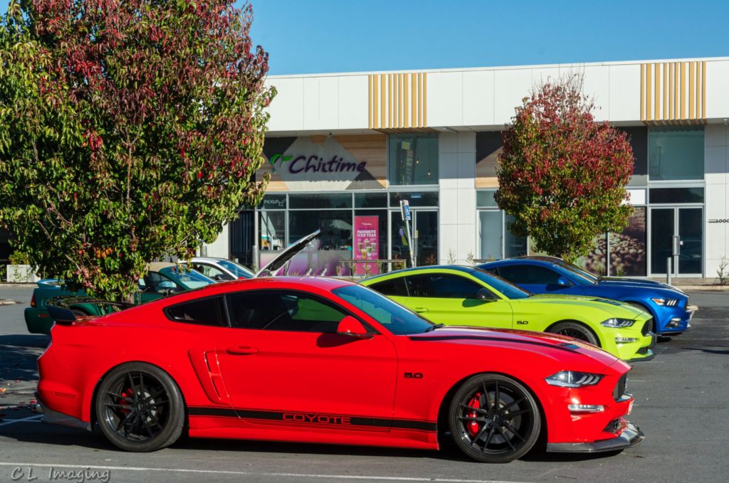 284146648_2279616222193895_591697850507732784_n