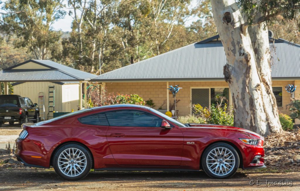 284793564_2279617505527100_5884933312201793725_n