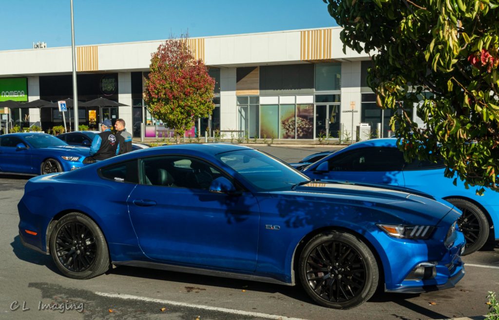 284921050_2279616862193831_3349422811905647508_n