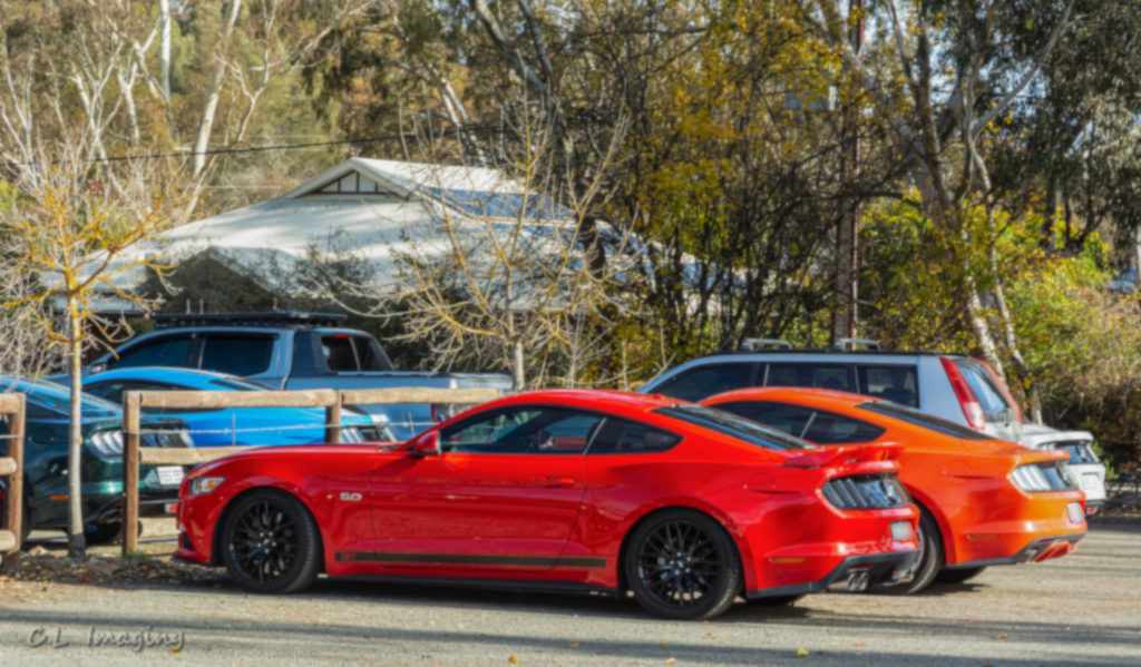 285157811_2279617455527105_6068580939810291916_n