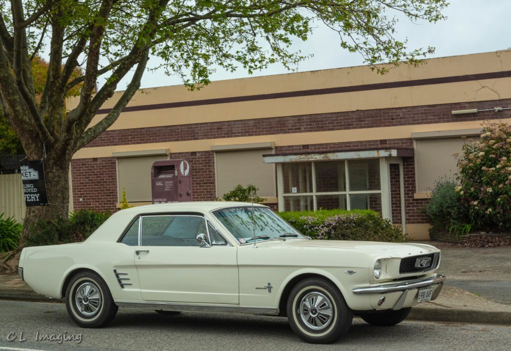 308598644_2376968755791974_5777522924767408245_n