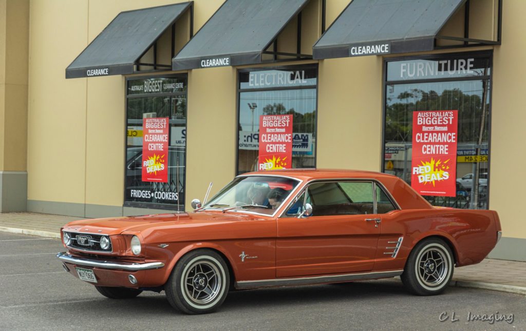 308763074_2376968275792022_6915978332613006928_n