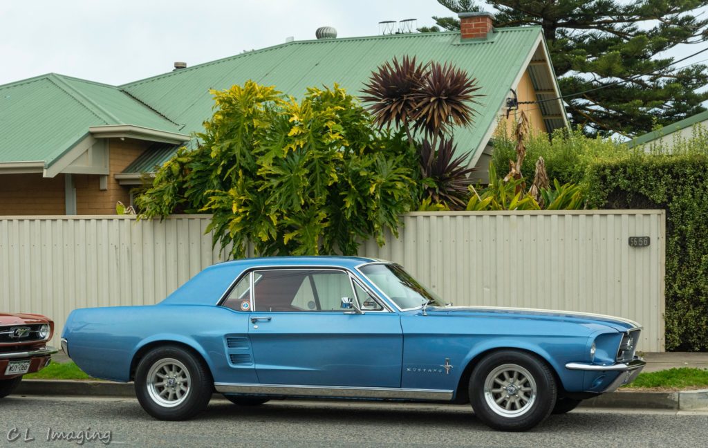 308829250_2376968912458625_2783294457638378301_n