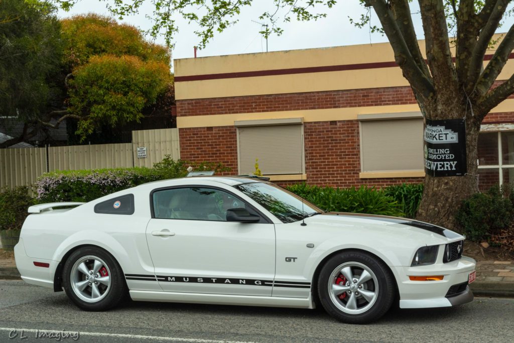 308844806_2376968685791981_3723077683517136486_n