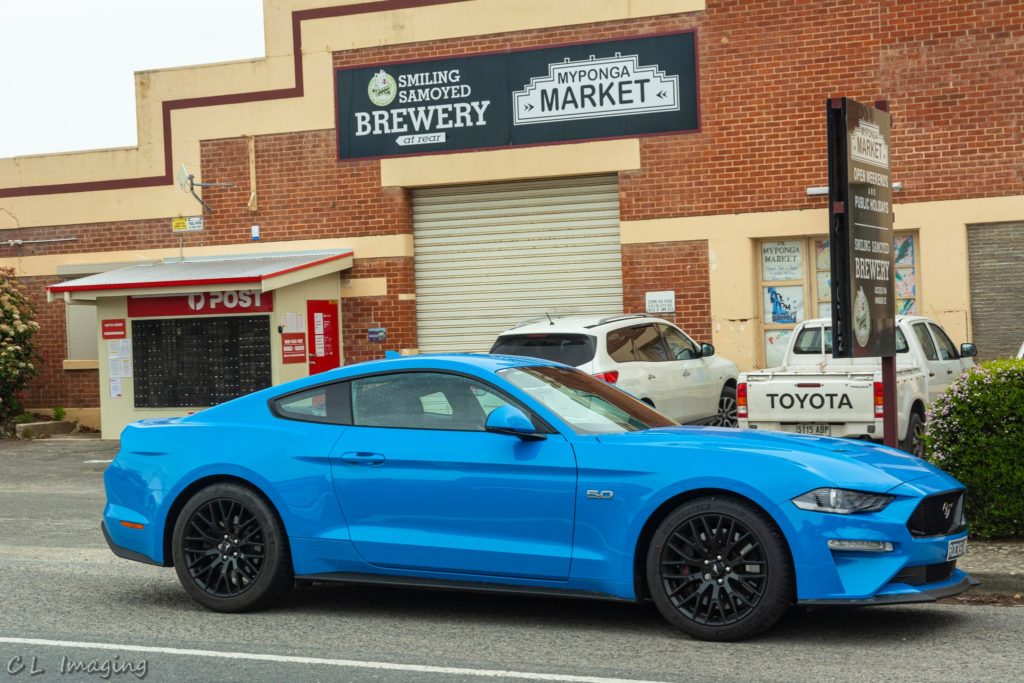 309010181_2376968899125293_2427194580123296765_n