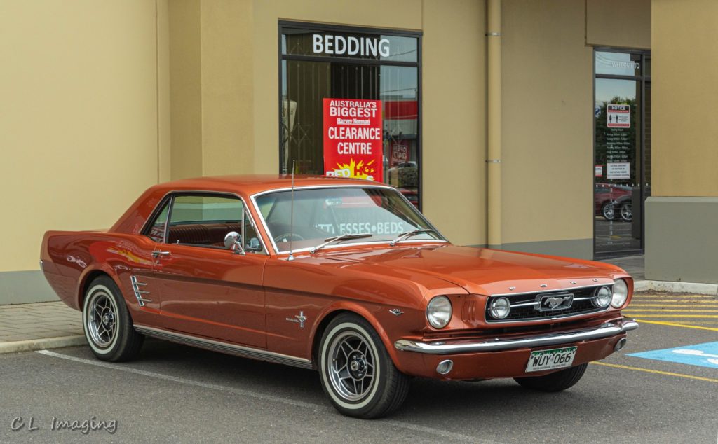 309035636_2376968482458668_9080774078084377791_n