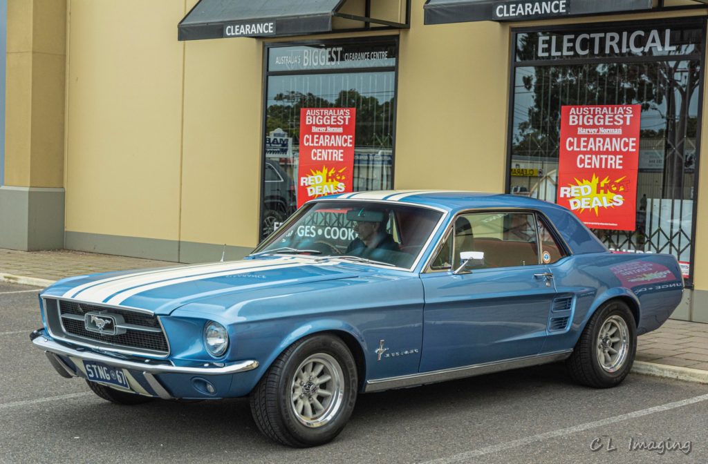 309036821_2376967642458752_5777974935453274905_n