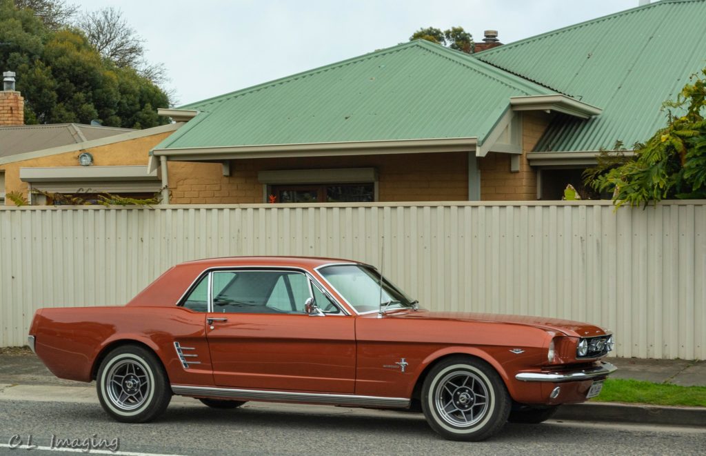 309048172_2376968902458626_7891664978407195980_n