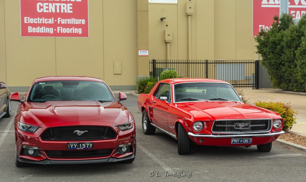 309049877_2376968669125316_2353808623592539157_n