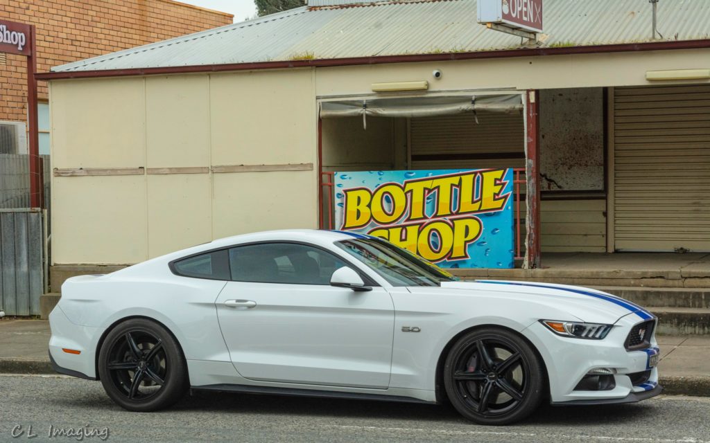 309092817_2376968365792013_3010417967507586962_n