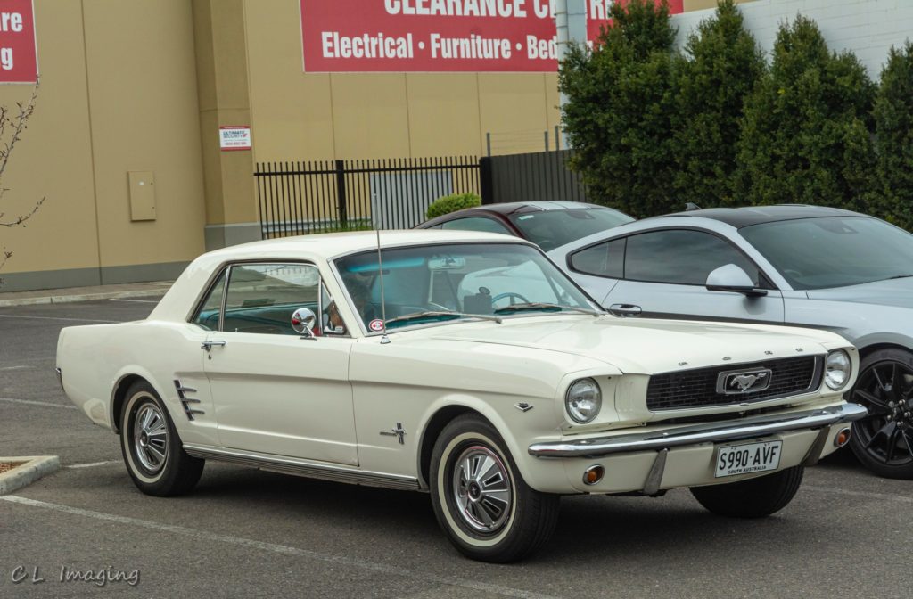 309154687_2376967602458756_7481949138359510785_n