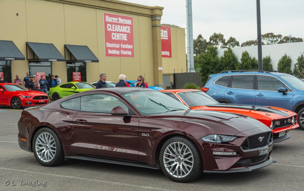 309157871_2376968329125350_2925840290229623784_n