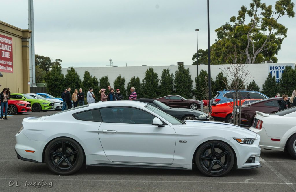 309202673_2376968729125310_4960283844990584903_n