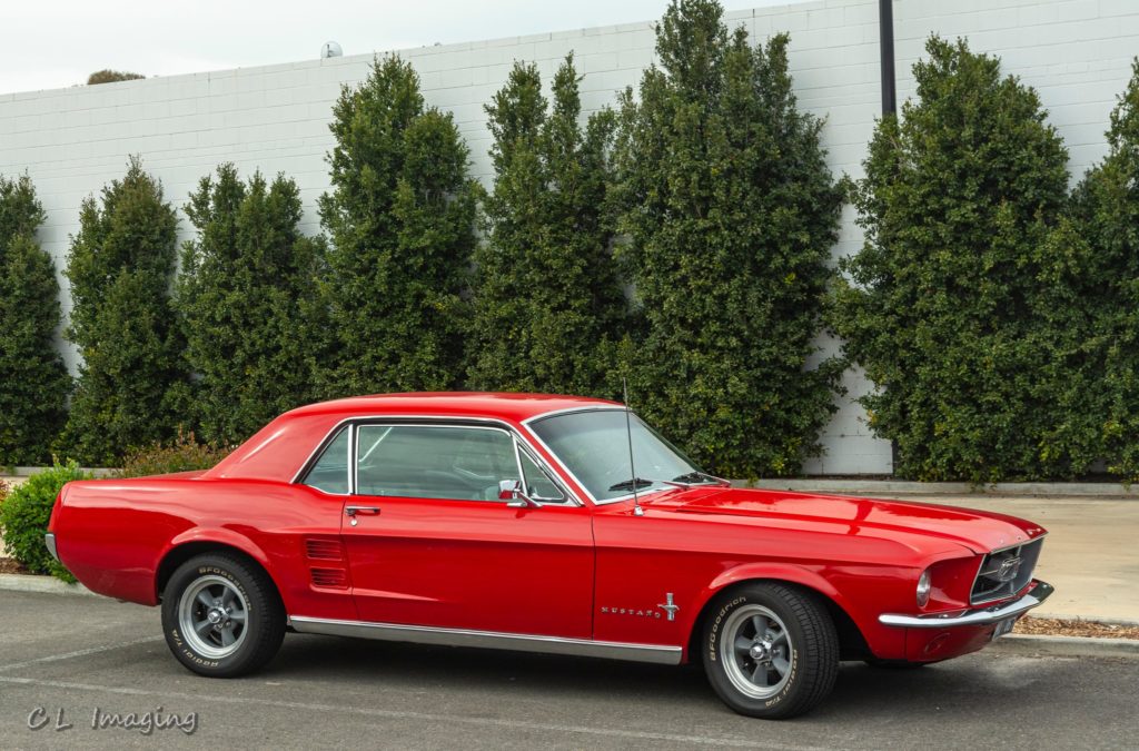 309229689_2376967932458723_8907031082082778790_n