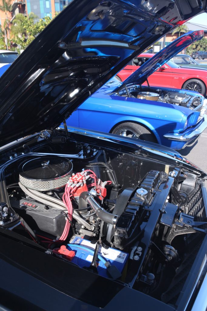 310326608_655457936152190_3513918083574177624_n