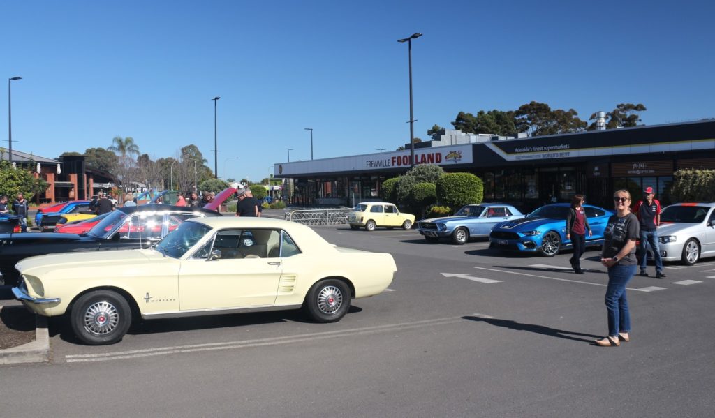 310674179_655457776152206_2483103242209601674_n