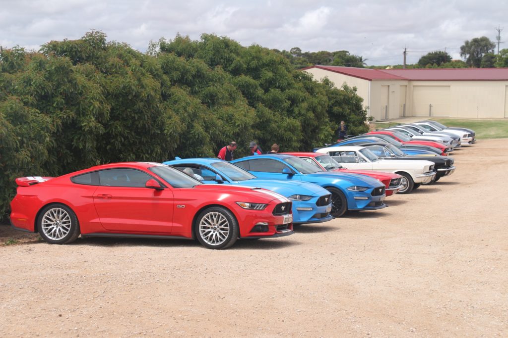 328133265_571838801517385_2953700654585665922_n