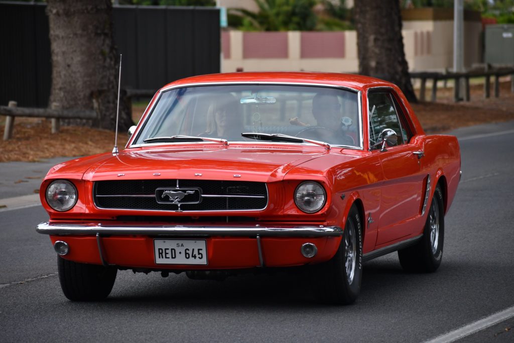 340824340_177299905143707_3396789054481943898_n