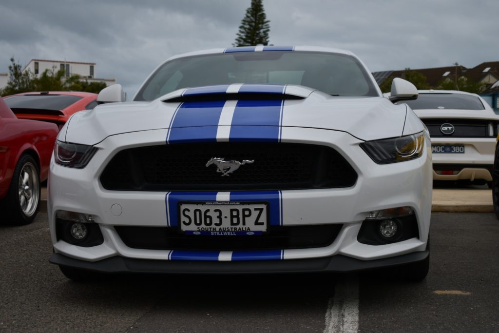 340932770_1541749926319942_8245474331685075686_n