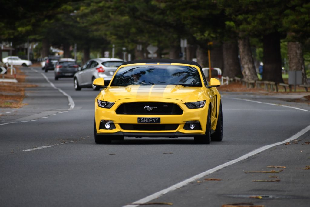 340951997_527855556176584_6178565400894205613_n