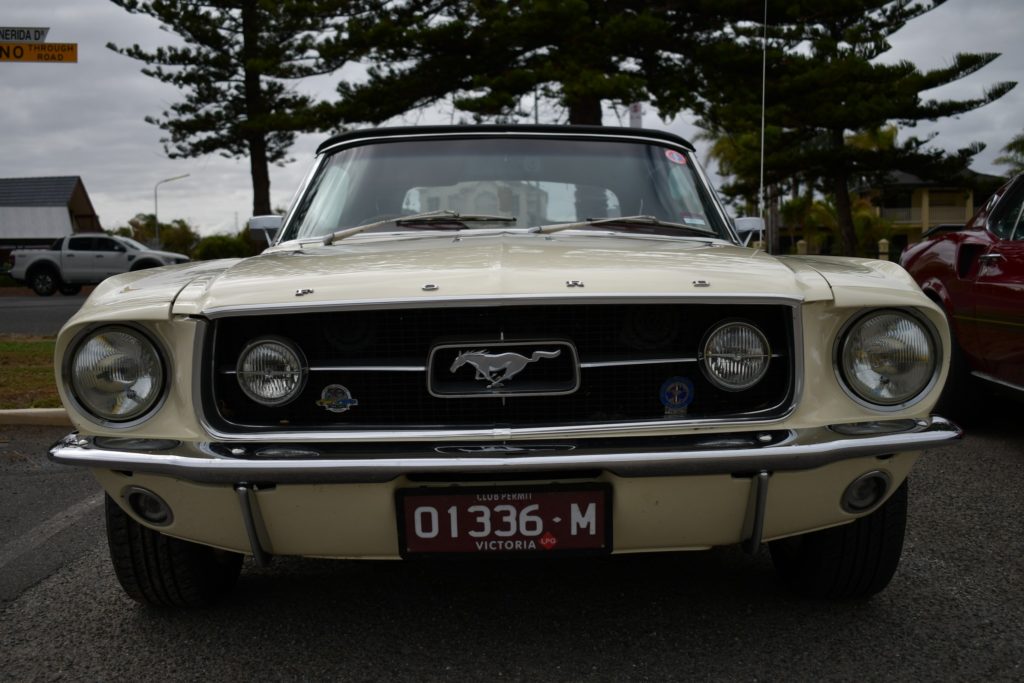 340981444_186346710879491_1321684710301783892_n