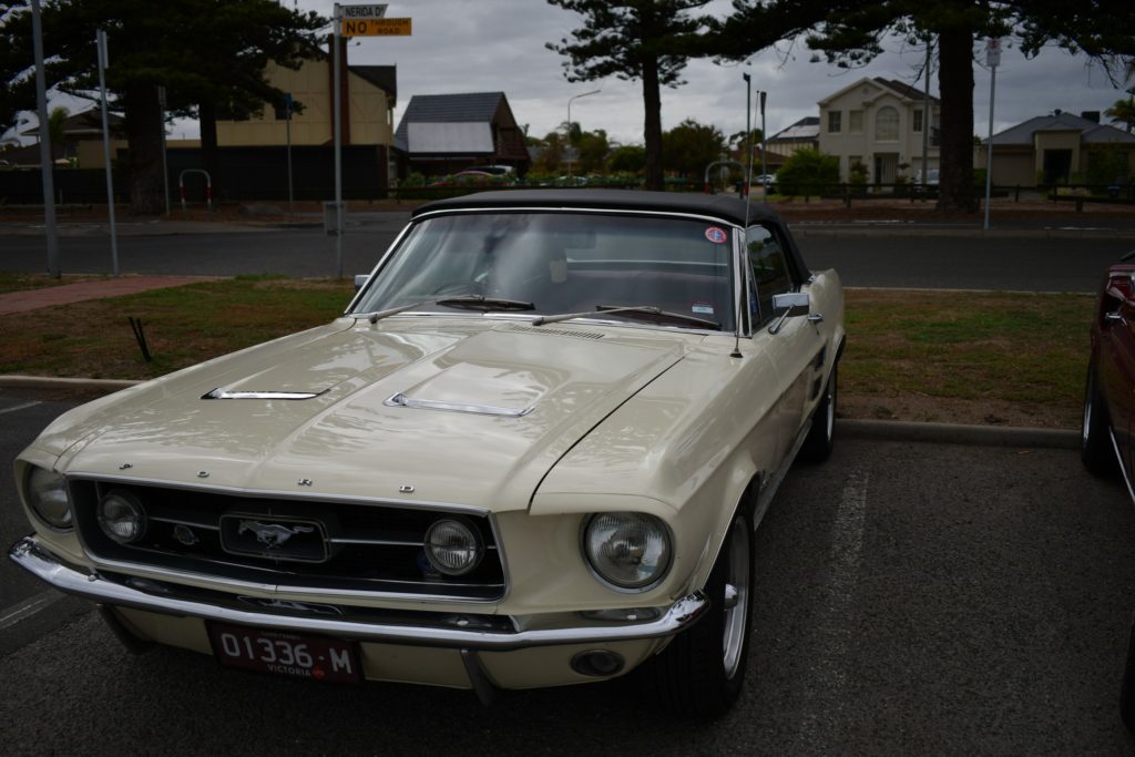 341015278_600405285473523_7322279123081441133_n