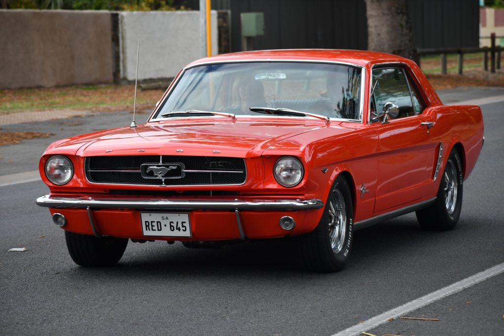 341125173_758971209072527_4813963786567451589_n