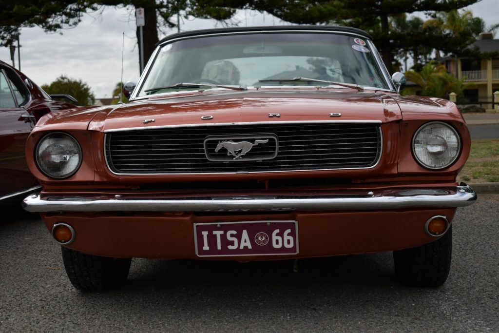 341328570_1153728245297264_8224256853322422075_n