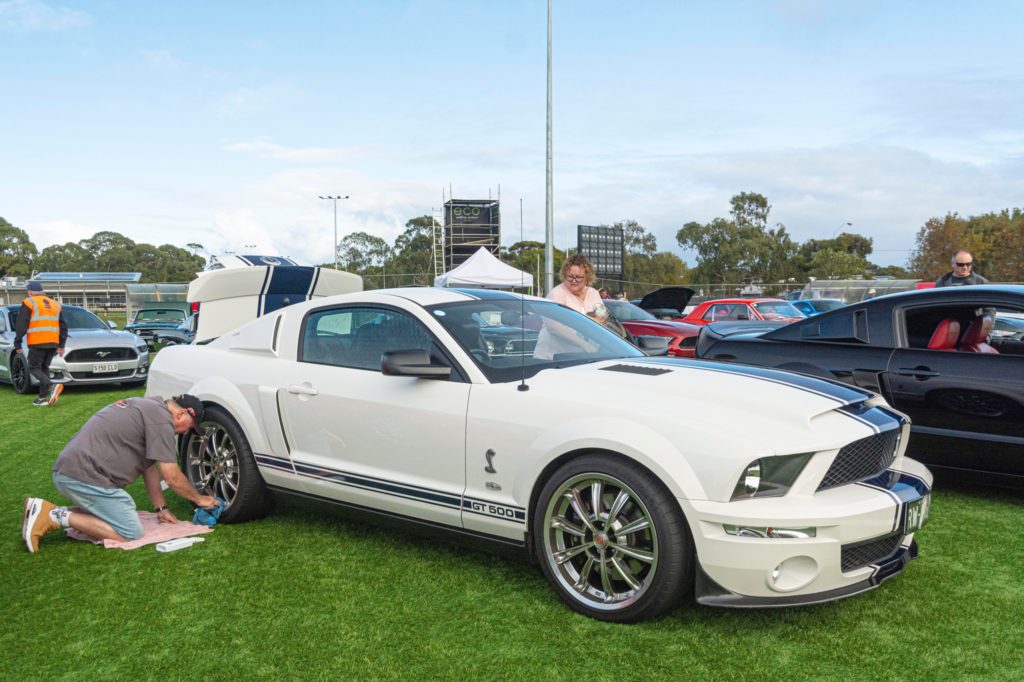 340455243_3704411419886272_2508993730496312610_n