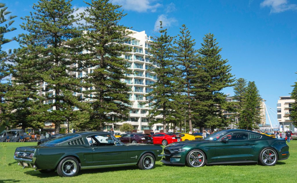 340496582_241546255077307_8474781656368987411_n