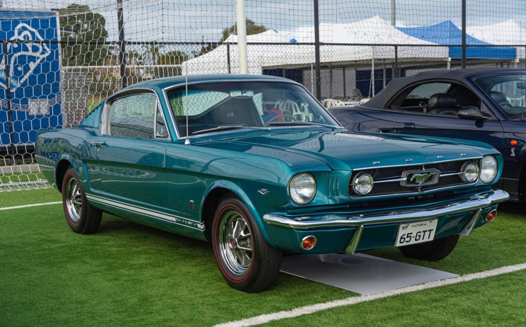 340530206_533178248977318_2412344907310305023_n