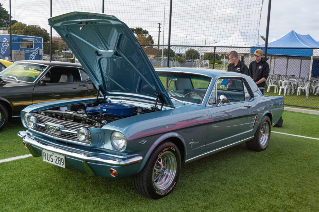 340538462_239949245269437_4458133237689655311_n