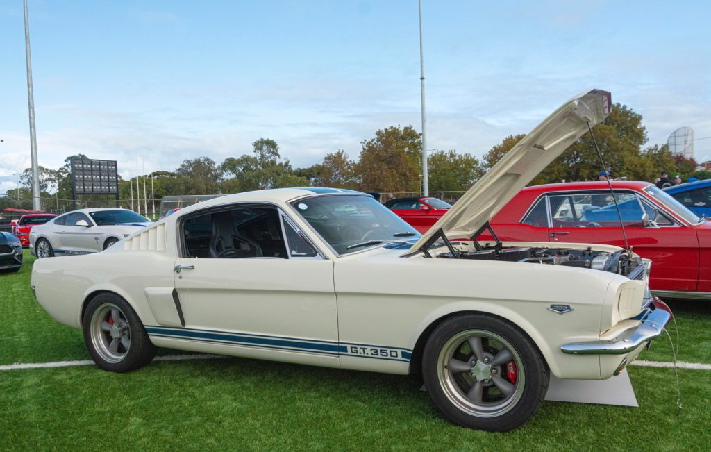 340550113_1424760284961485_8175327666152694918_n