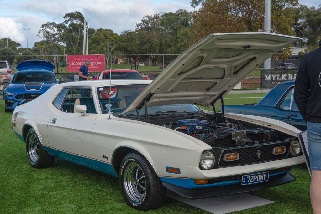 340555467_1028582061358336_5513844235677672686_n